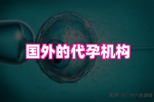 nub孕网 2